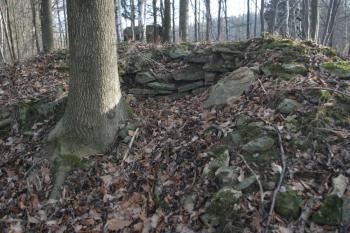  (© Jan Švejkar, 01/2009)