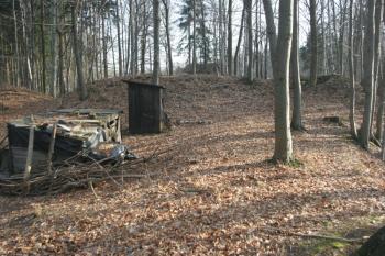  (© Jan Švejkar, 01/2009)