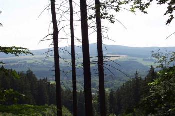  (© VŠ 2004)
