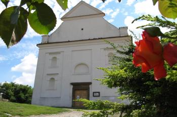 D. Kounice (© Pavel Vlach 07/2013)