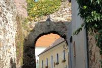 branka (fortna) Kocour