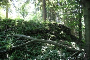 zřícenina hradu Pleče (© Vlastislav Mareček, 07/2011)