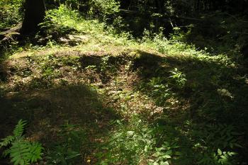 zřícenina hradu Pleče (© Vlastislav Mareček, 07/2011)