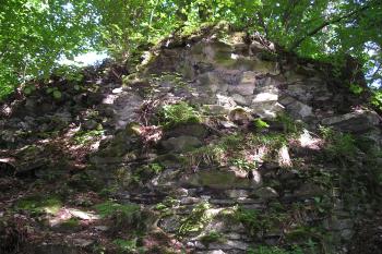 zřícenina hradu Pleče (© Vlastislav Mareček, 07/2011)