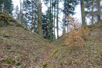 Druhý /vnitřní/ šíjový příkop od severu /vlevo hrad, vpravo čelní předehradí/ (© Dušan Dohňanský  05/2021)