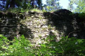 Pleče (© Jan Laurin, 07/2007)