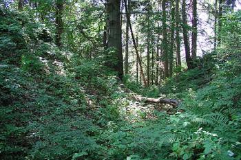 Příkop ( © Roman Řezáč 08/2003)