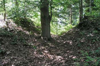Příkop ( © Roman Řezáč 08/2003)