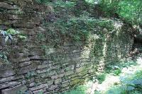 Pleče