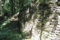 Pleče