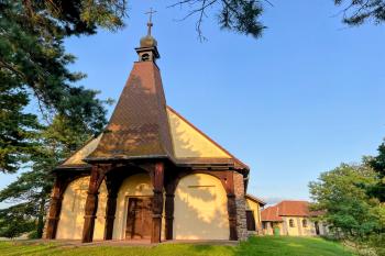 Oslnovice (© Martin Klimánek 08/2025)