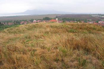 Horní plocha motty ( © Roman Řezáč 09/2003)