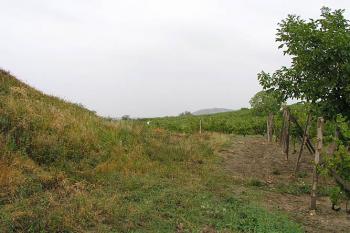 Příkop na severu ( © Roman Řezáč 09/2003)