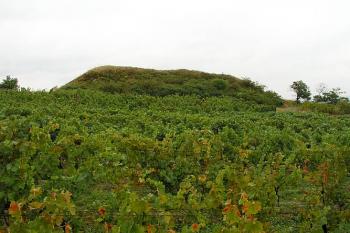 Pahorek tvrze od západu ( © Roman Řezáč 09/2003)