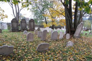 Police (© Jana Vrtalová 10/2015)