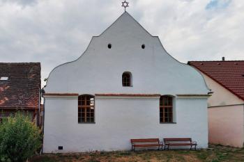 Police (© Miloš Fiala 07/2023)