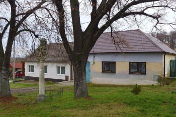 sloup NT (© Eva Koutná 01/2020)