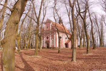 Kostníky (© Bohuslav Vítů 03/2026)