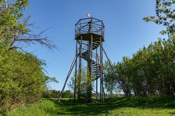 Anička (© Štěpán Dvořák 04/2025)