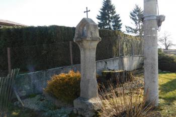  (© Milan Caha  03/2020)