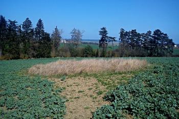 hradiště (© Leoš Machát 03/2014)