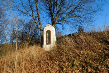  (© Milan Caha  11/2020)