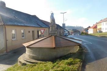  (© Milan Caha  11/2020)