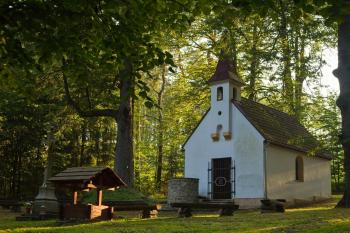 Křižná studánka (© Zdislav Jankovský 08/2024)