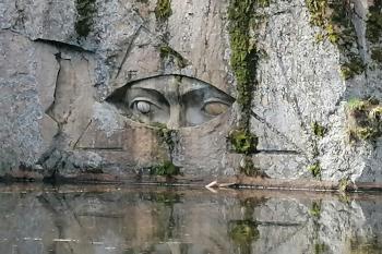 Zlatý voči (© Václav Moravec 03/2024)