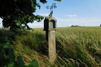  (© Milan Caha  07/2020)