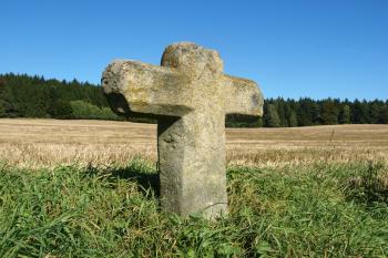  (© Milan Caha  10/2011)