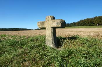  (© Milan Caha  10/2011)