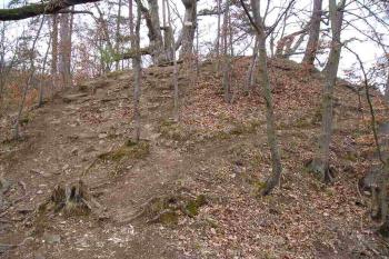  (© pavel kořinek, 03/2008)