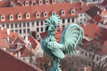 Kohout na hřebeni jižního ramene transeptu ( © Ivan Grisa 02/2011)