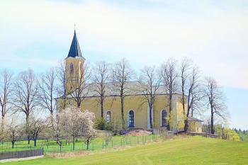 Lísek (© František Guttenberg 05/2021)