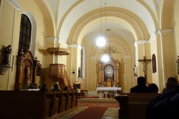 Lísek (© Pavel Kopáček 11/2022)