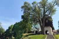 kostel sv. Máří Magdalény