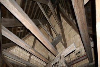  (© Pavel Zany Komárek  4. 4. 2009)