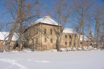 ze zamrzlého rybníka ( © Jiří Čížek 01/2004)