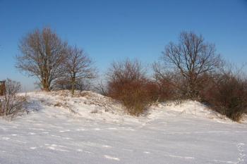  ( © Jiří Čížek 01/2004)