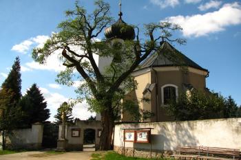 Nížkov (© Jan Dostál 09/2013)