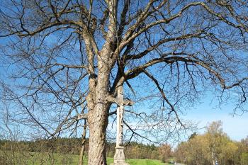  (© Marcela Váňová  04/2026)