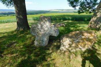  (© Milan Caha  06/2022)