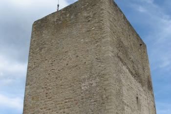  (© Robert Šebl, 08/2007)