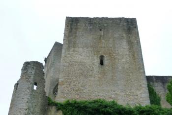 zřícenina hradu Landštejn (© Vlastislav Mareček, 08/2016)