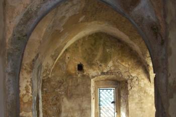  (© Nikola Mildová, 09/2008)