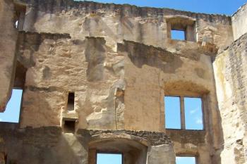  (© Nikola Mildová, 09/2008)