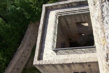  (© Nikola Mildová, 09/2008)