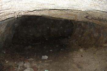 Hradní sklepení (© Jaroslav Šefčík, 04/2009)