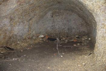 Hradní sklepení (© Jaroslav Šefčík, 04/2009)